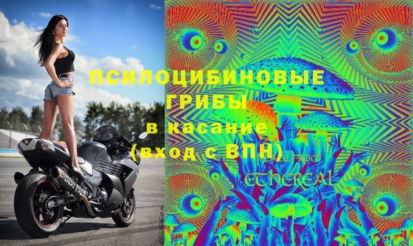 гашиш Ельня